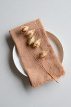 Load image into Gallery viewer, Cotton Dinner Napkins | Set of 4
